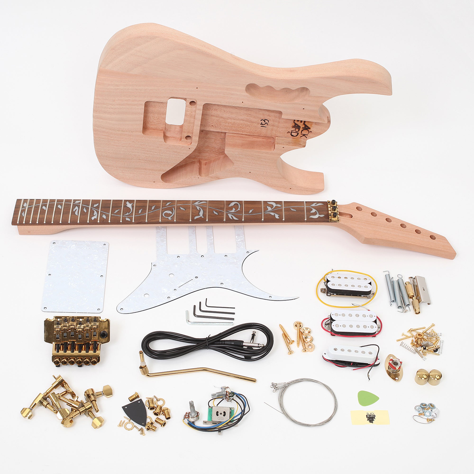 Diy jem shop guitar kit