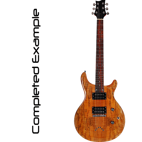 DIY PRS Electric Guitar Kit Blackbeard s Den BlackBeard DIY